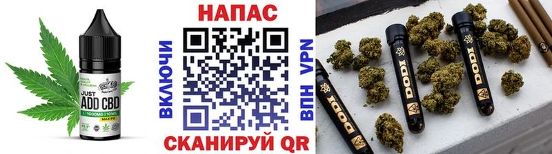где купить наркоту  ОМГ ОМГ рабочий сайт  Cannafood марихуана  Новозыбков 