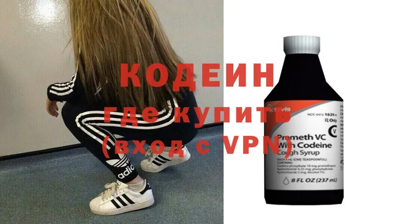 купить закладку  Новозыбков  Кодеин Purple Drank 