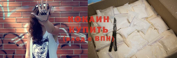 гашик Новодвинск
