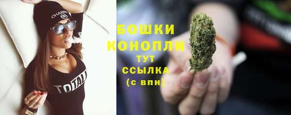 МДМА Новозыбков