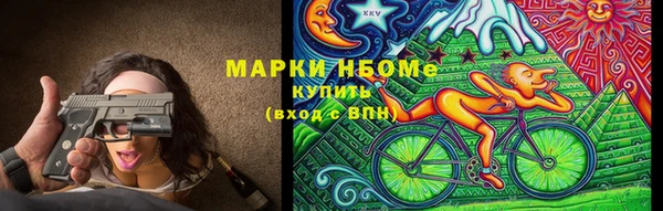 гашик Новодвинск
