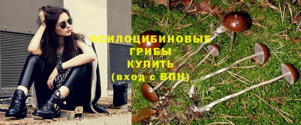 МДМА Новозыбков