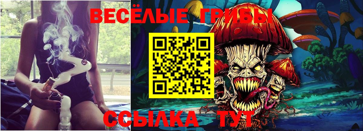 Псилоцибиновые грибы MAGIC MUSHROOMS Новозыбков