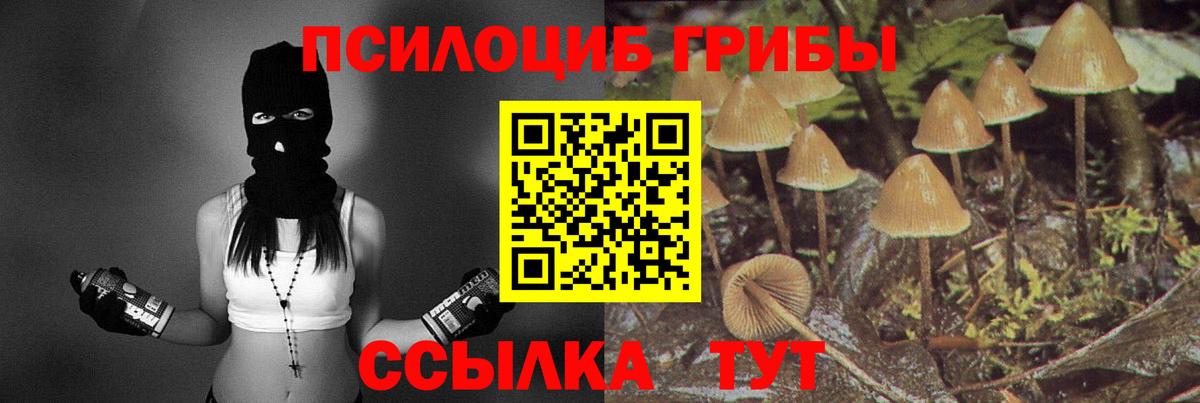 Новозыбков  Псилоцибиновые грибы GOLDEN TEACHER  Вход с VPN 