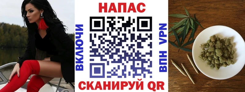 купить   blacksprut   МАРИХУАНА марихуана  Новозыбков 